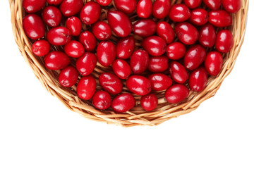 fresh cornel berries close-up