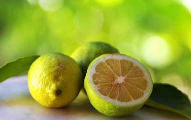 Green lemons on green background