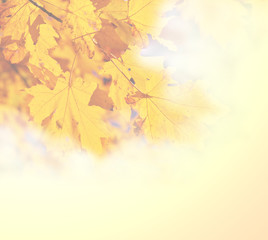 Naklejka na ściany i meble Autumn background