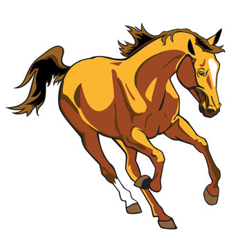 running brown horse