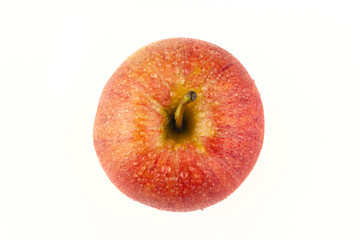 Red Apple