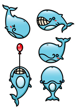 Cartoon Whale Set
