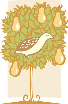 Partridge and Pear Tree