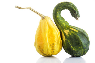 decorative pumpkins