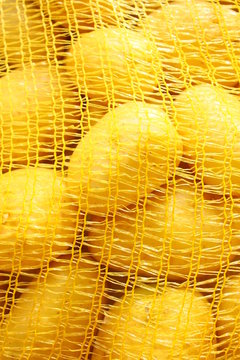 filet de pomme de terre