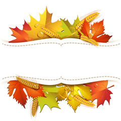 White background with autumn colorful leaves