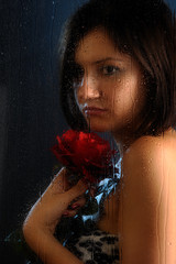 Girl in rain with red rose behind the window