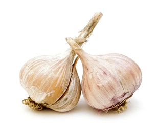 Garlic on white background.