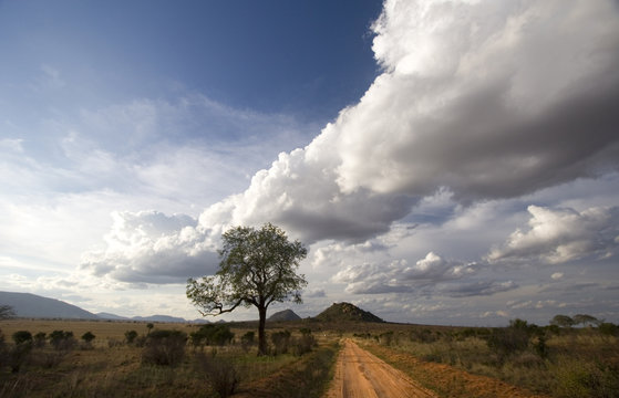 Red dirt track of Tsavo East, Kenya