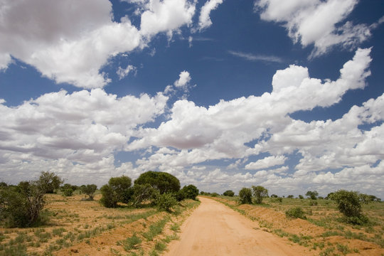 Red Earth Dirt track, Tsavo National Park, Kenya