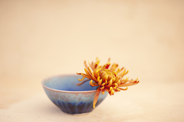 Bowl and Flower