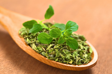 Dried and Fresh Oregano on Wooden Spoon