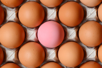 Eggs on tray in supermarket.