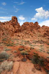 Nevada - Petroglyph Canyon