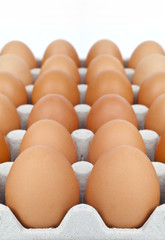 Carton of Eggs
