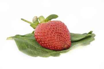 strawberry on leaf