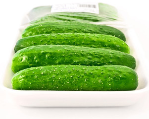 packed cucumbers