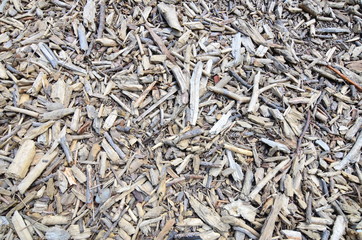 Wood chips (pieces) on ground