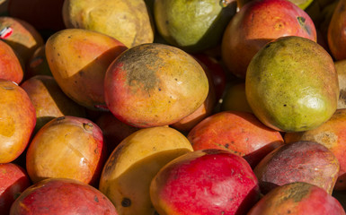 mangos