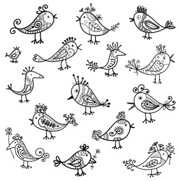 Set of funny birds for your design