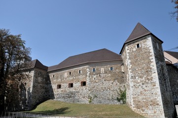 Fototapeta na wymiar Ljubljana Castle