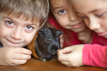 Children and guinea pig