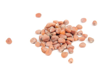 Radish Seeds Isolated on White Background