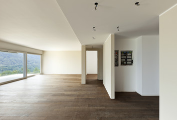 Fototapeta na wymiar modern interior, empty apartment,, parquet floor