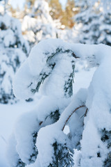 Winter landscape in Norway