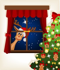 reindeer looking through window at christmas time