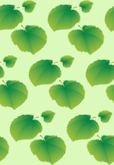Seamless background with lime leaves