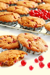 Babeczki z czerwonymi porzeczkami Muffins with red currants