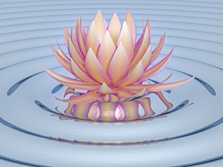 lotus flower
