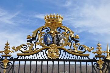 Fototapeta na wymiar Détail de la grille de l'Hôtel-Dieu-le-Comte à TROYES