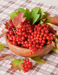 Red berries of viburnum in wooden bowl 