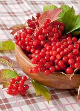 Red berries of viburnum in wooden bowl 