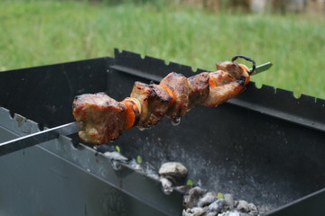 shashlik grill meat