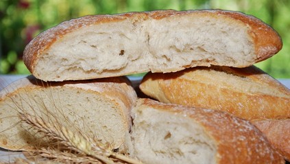 bread