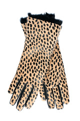 women's new gloves leopard