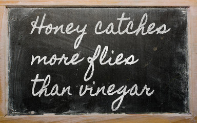expression -  Honey catches more flies than vinegar - written on