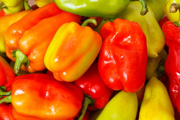 Lot of Multicolored Sweet Pepper background