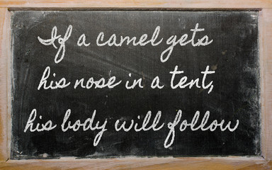 expression - If a camel gets his nose in a tent, his body will f