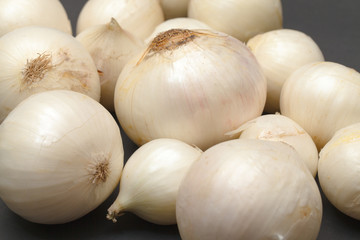 White Onion Bulb