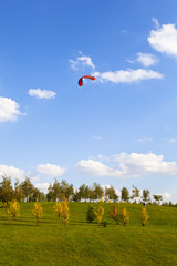 Flight kite against the blue sky in the park