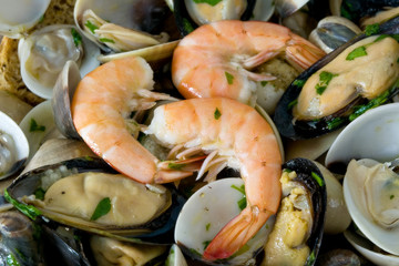 crostacei e molluschi