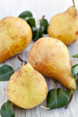 Pears