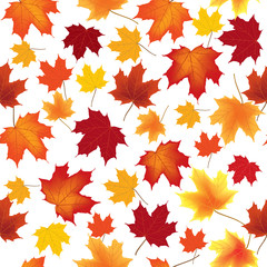 autumn maple leaves seamless pattern background