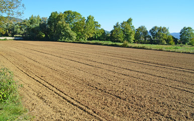 plowed field