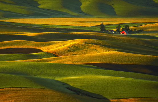 Palouse Hills and Red Barn