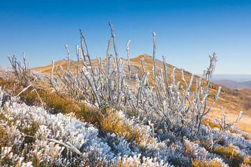 Bieszczady National Park, Poland